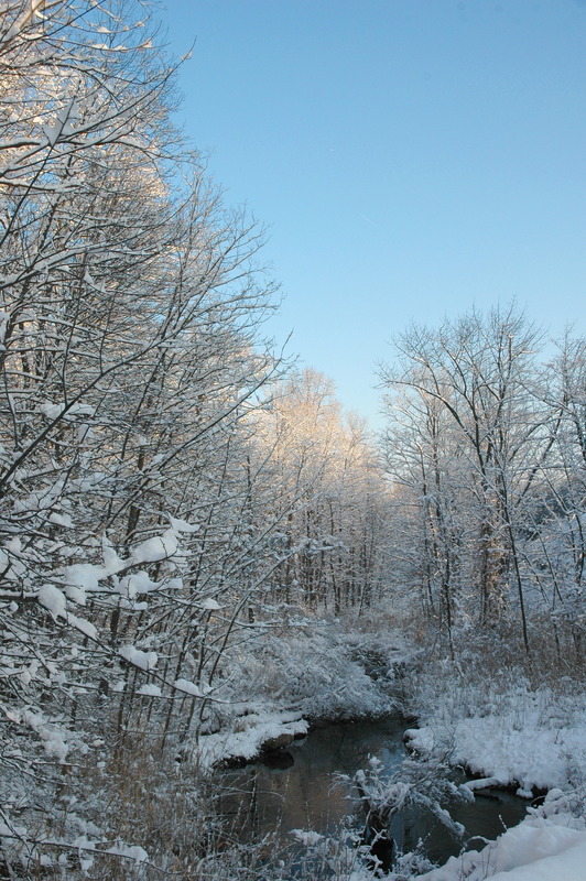 snowbk1